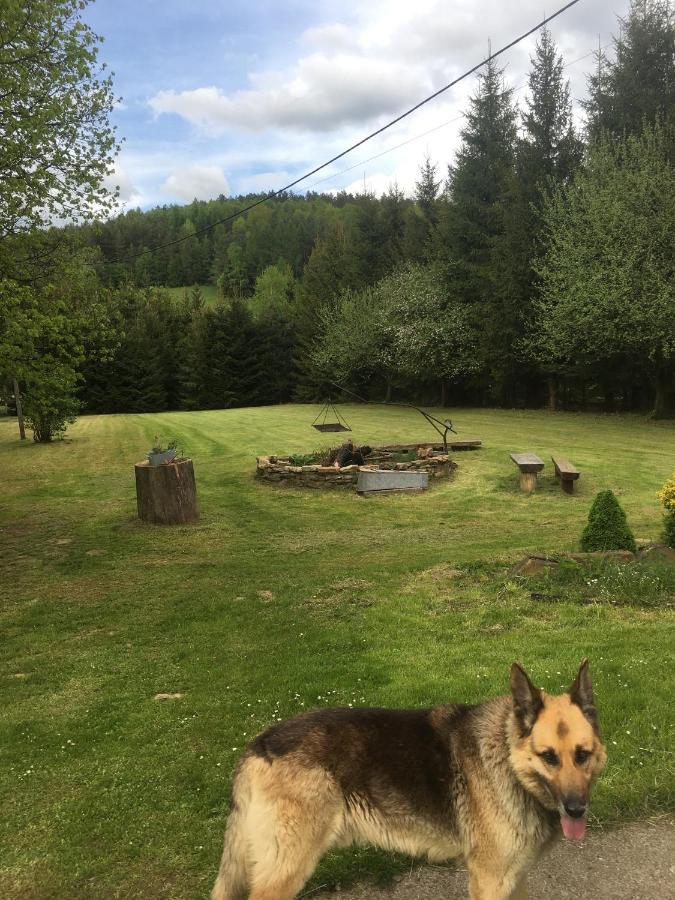 Bieszczadzka Sielanka Villa Wojtkowa Exteriör bild